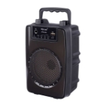 تصویر  اسپیکر بی سیم BIG SOUND مدل KTS-1919 - مشکی
